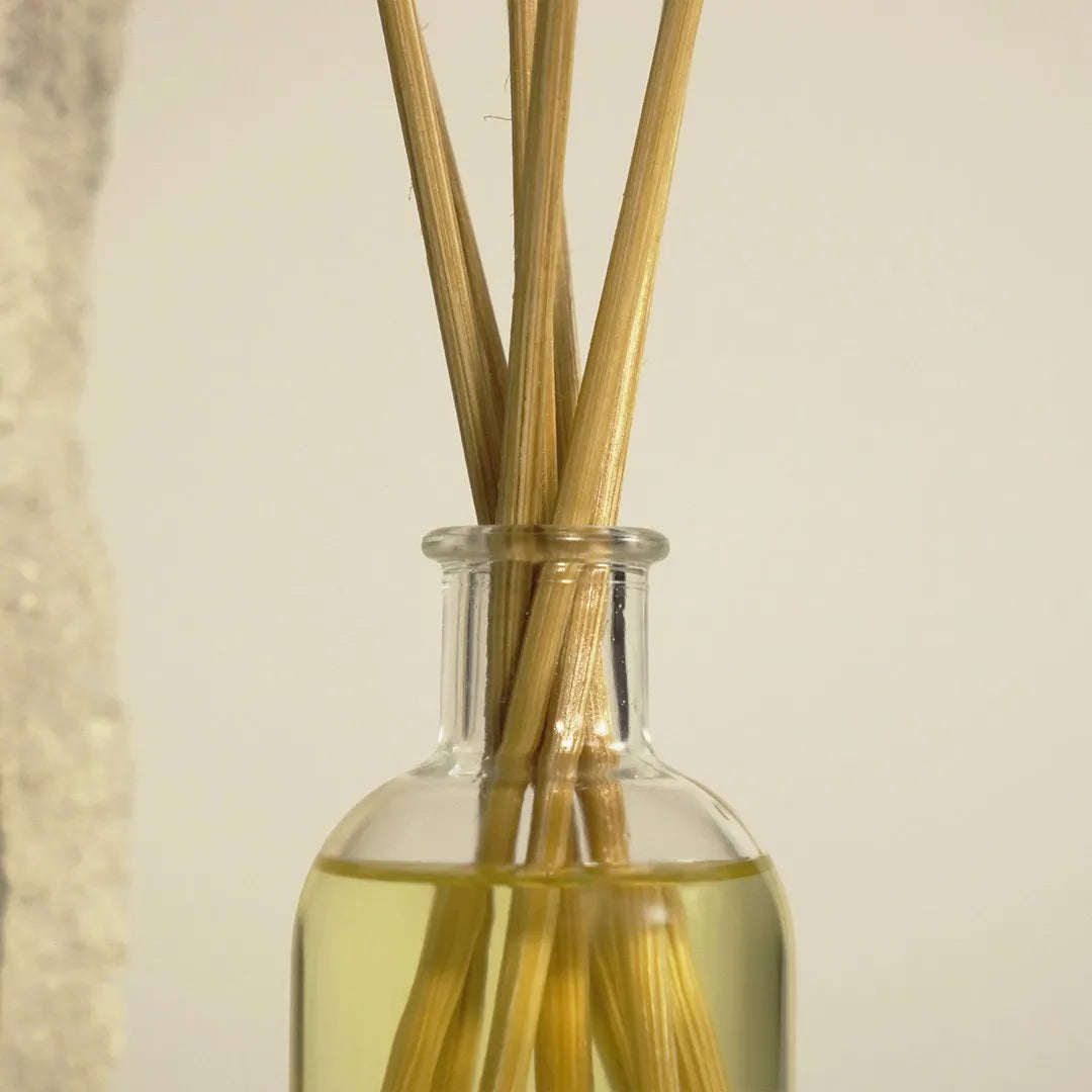 Diffuser 100ml - Santal