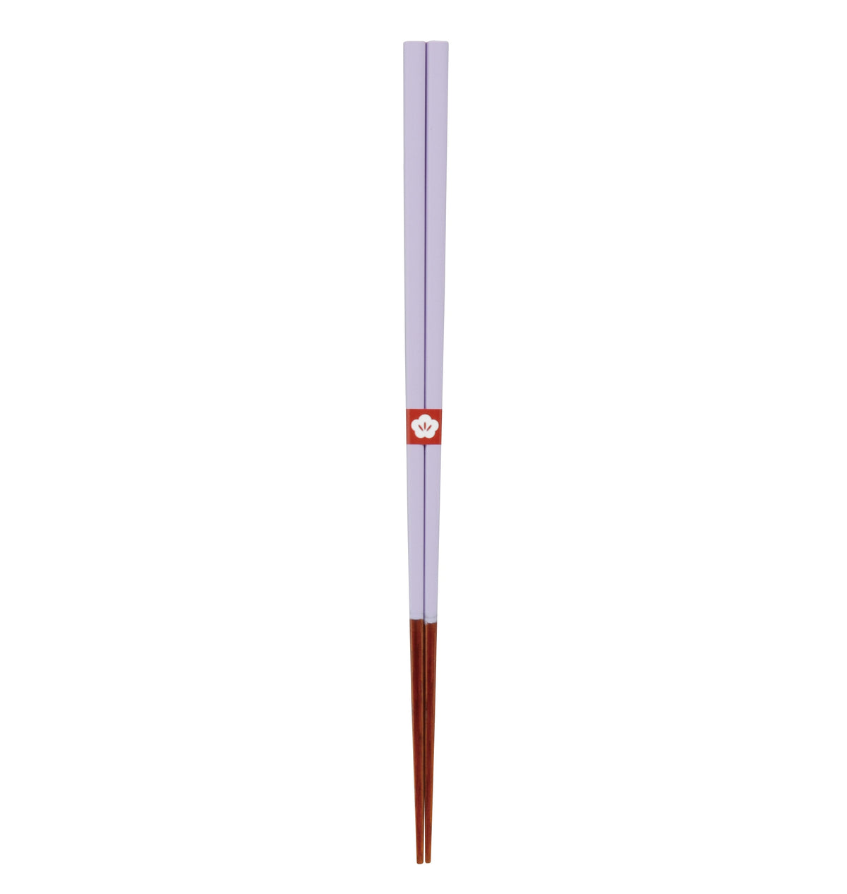 Japanische Chopsticks